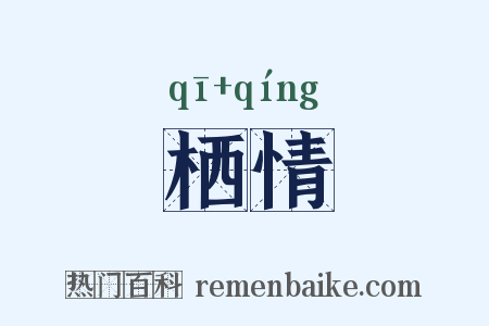 栖情是什么意思的图片
